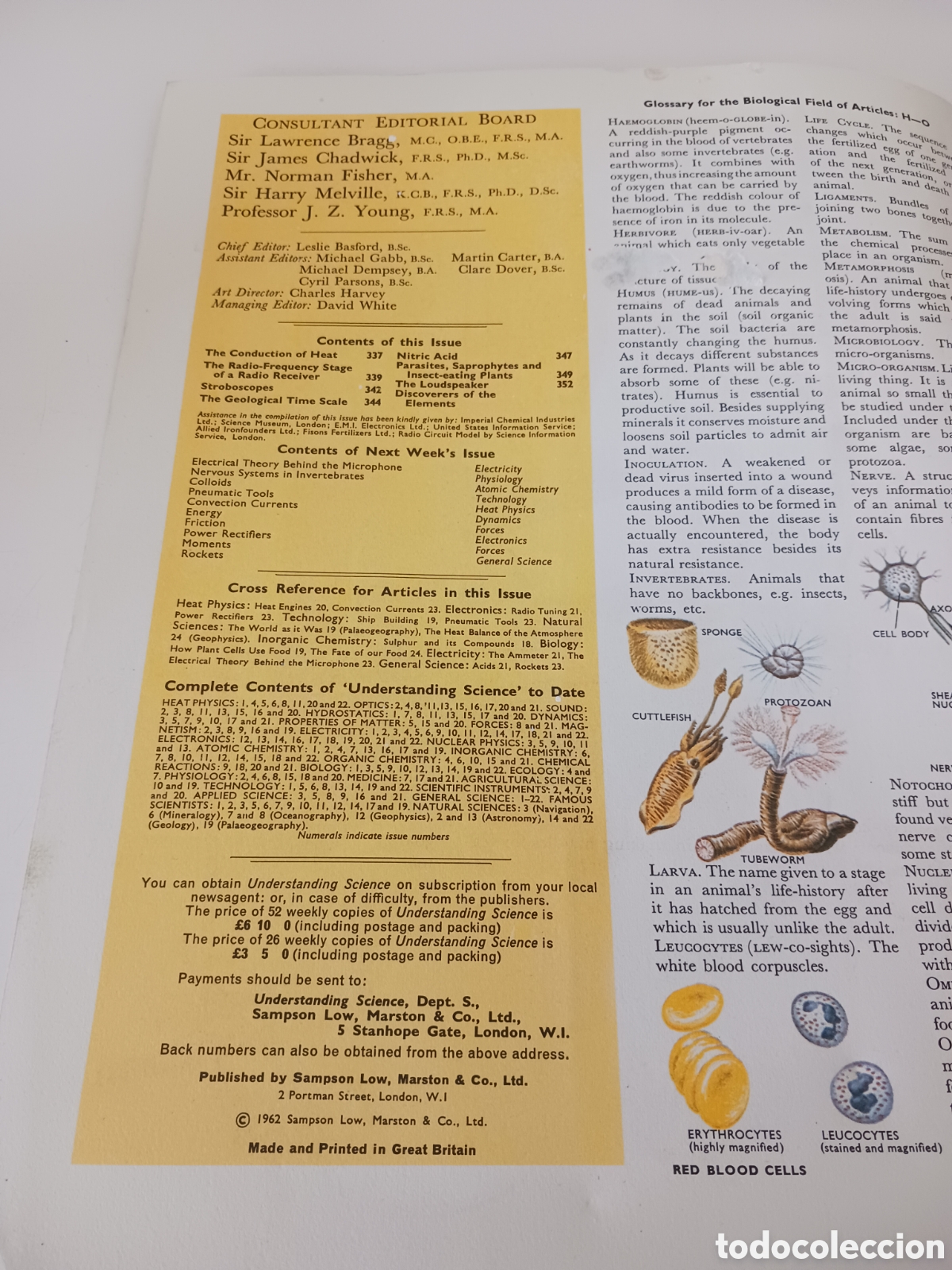 Libros de segunda mano: Understanding science, n&uacute;mero 22, ingl&eacute;s 1962 - Foto 2