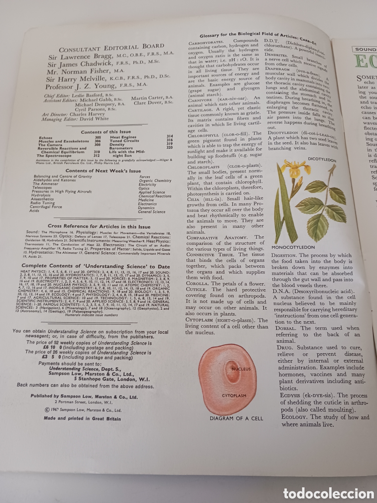 Libros de segunda mano: Understanding science, n&uacute;mero 20, ingl&eacute;s 1962 - Foto 2