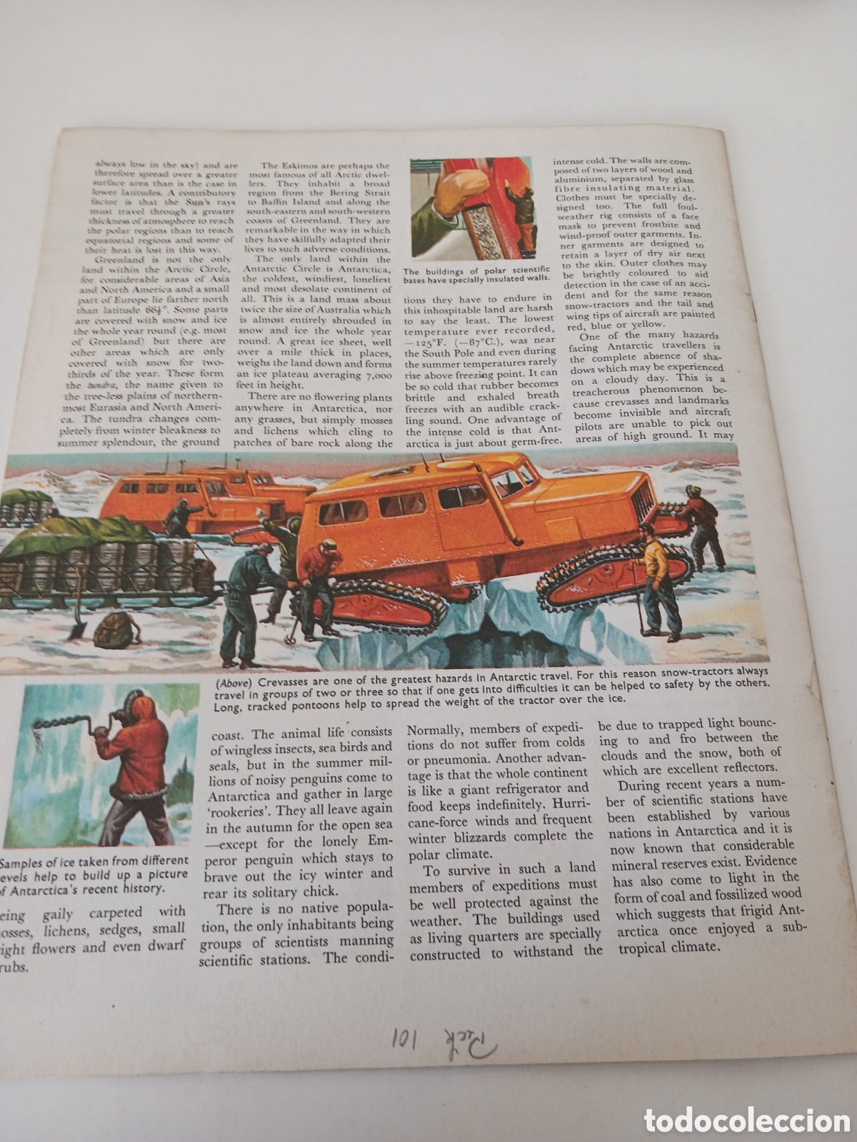Libros de segunda mano: Understanding science, n&uacute;mero 20, ingl&eacute;s 1962 - Foto 4