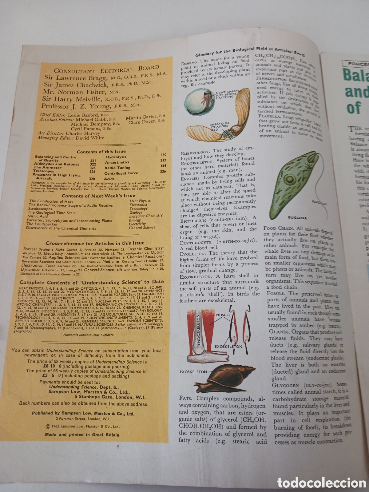 Libros de segunda mano: Understanding science, n&uacute;mero 21 ingl&eacute;s 1962 - Foto 2