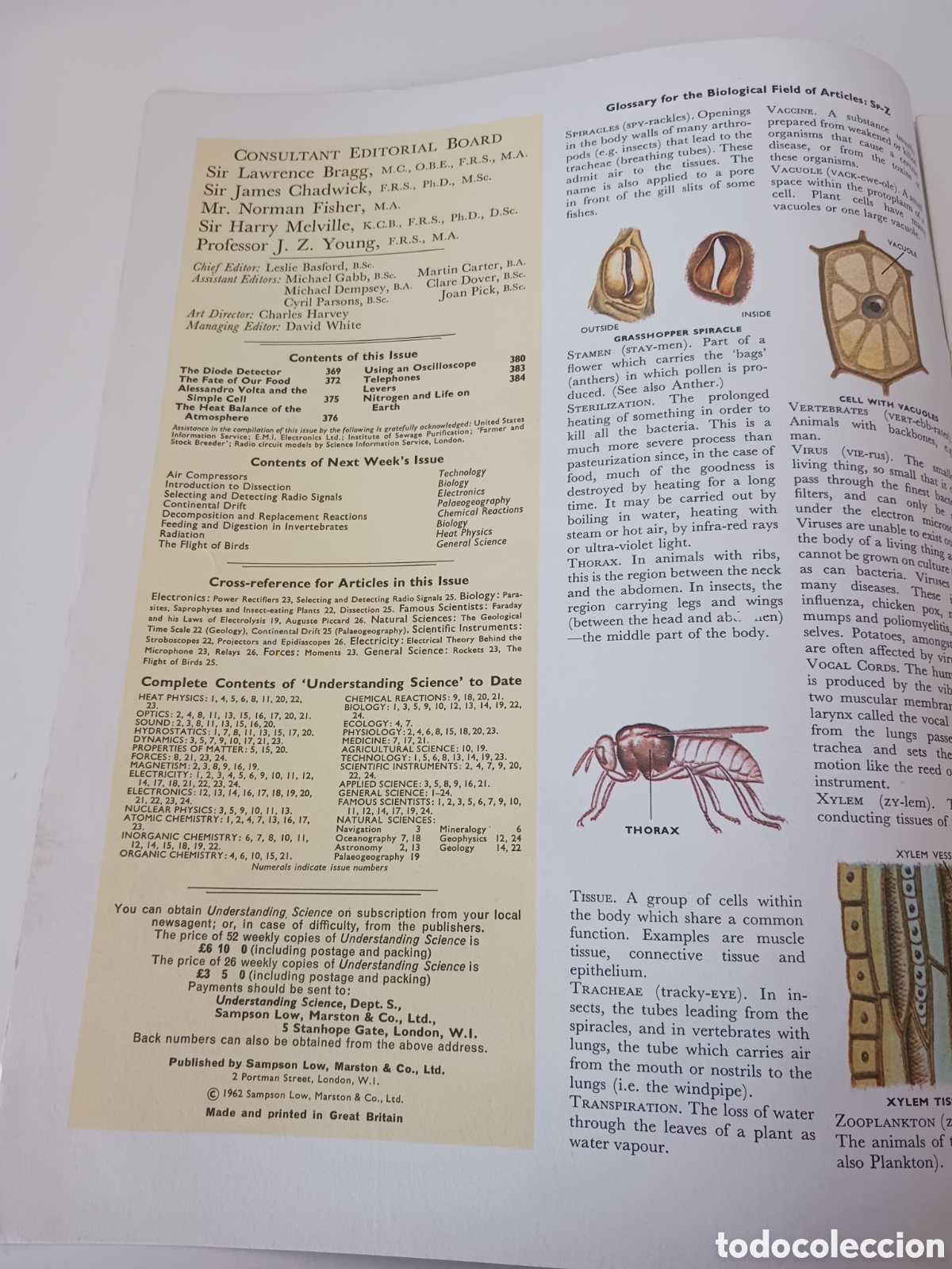 Libros de segunda mano: Understanding science, n&uacute;mero 24 ingl&eacute;s 1962 - Foto 2