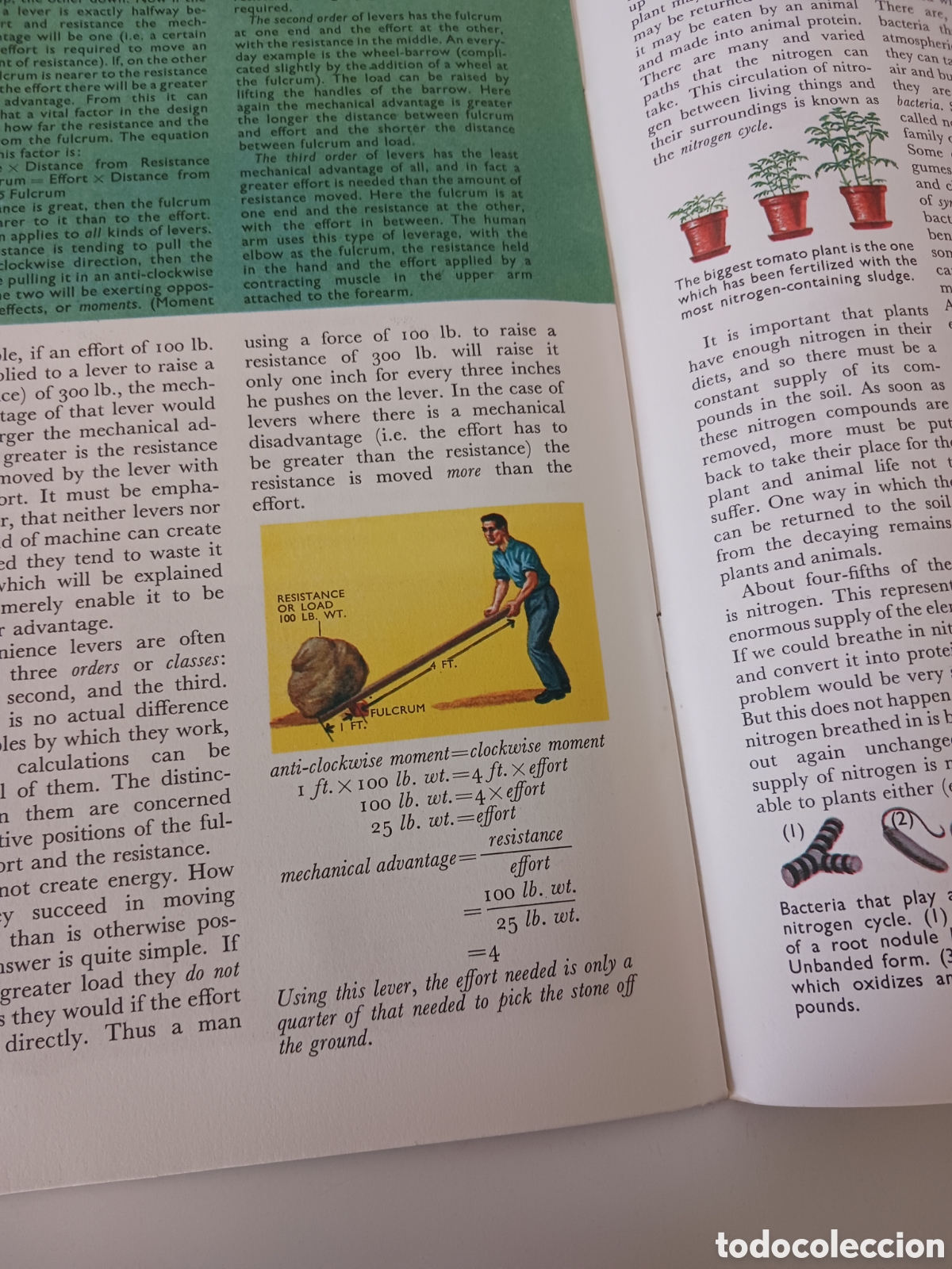 Libros de segunda mano: Understanding science, n&uacute;mero 24 ingl&eacute;s 1962 - Foto 4