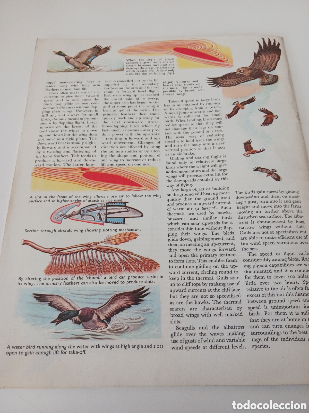 Libros de segunda mano: Understanding science, n&uacute;mero 25 ingl&eacute;s 1962 - Foto 6