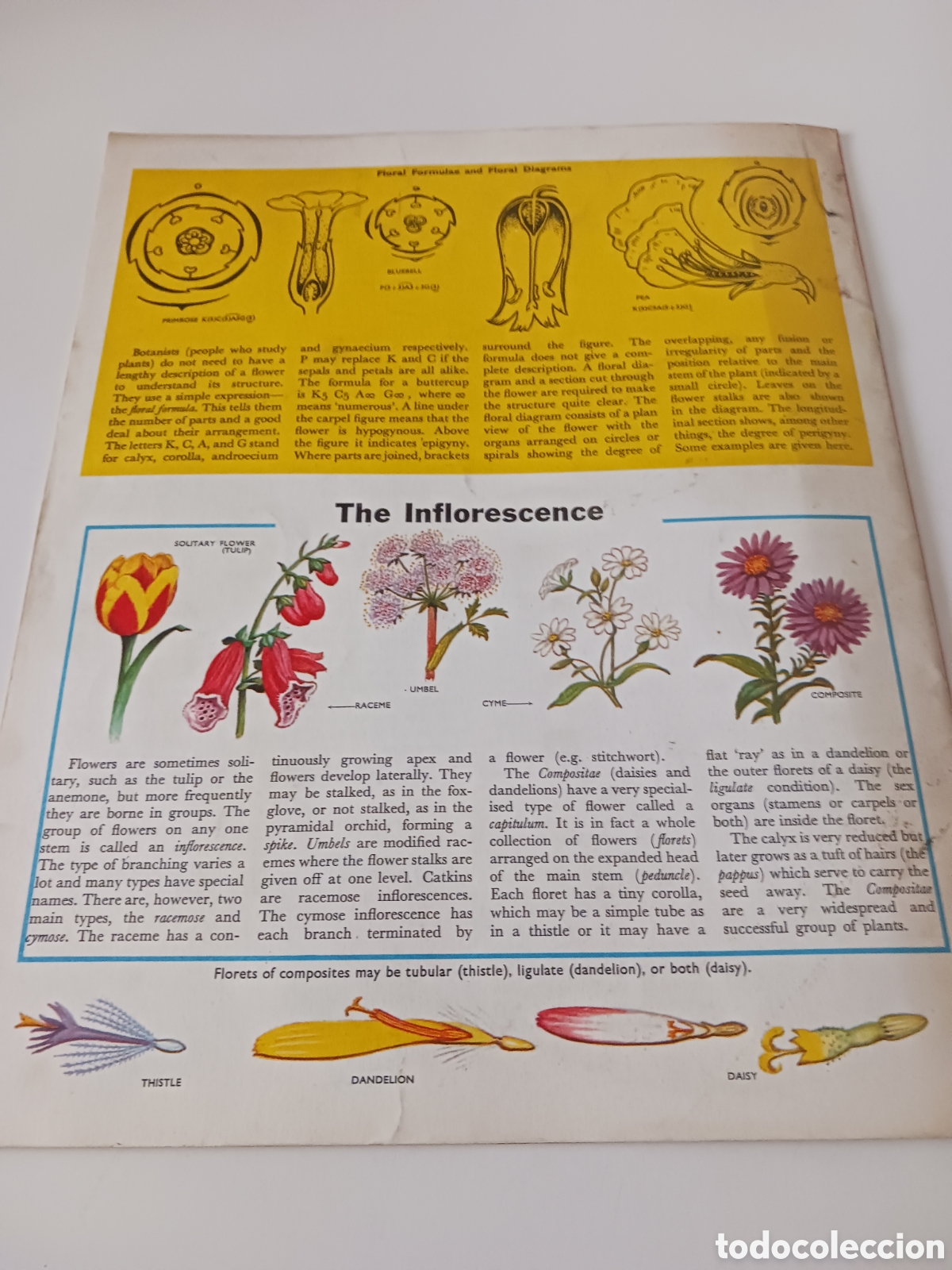 Libros de segunda mano: Understanding science, n&uacute;mero 32 ingl&eacute;s 1962 - Foto 5