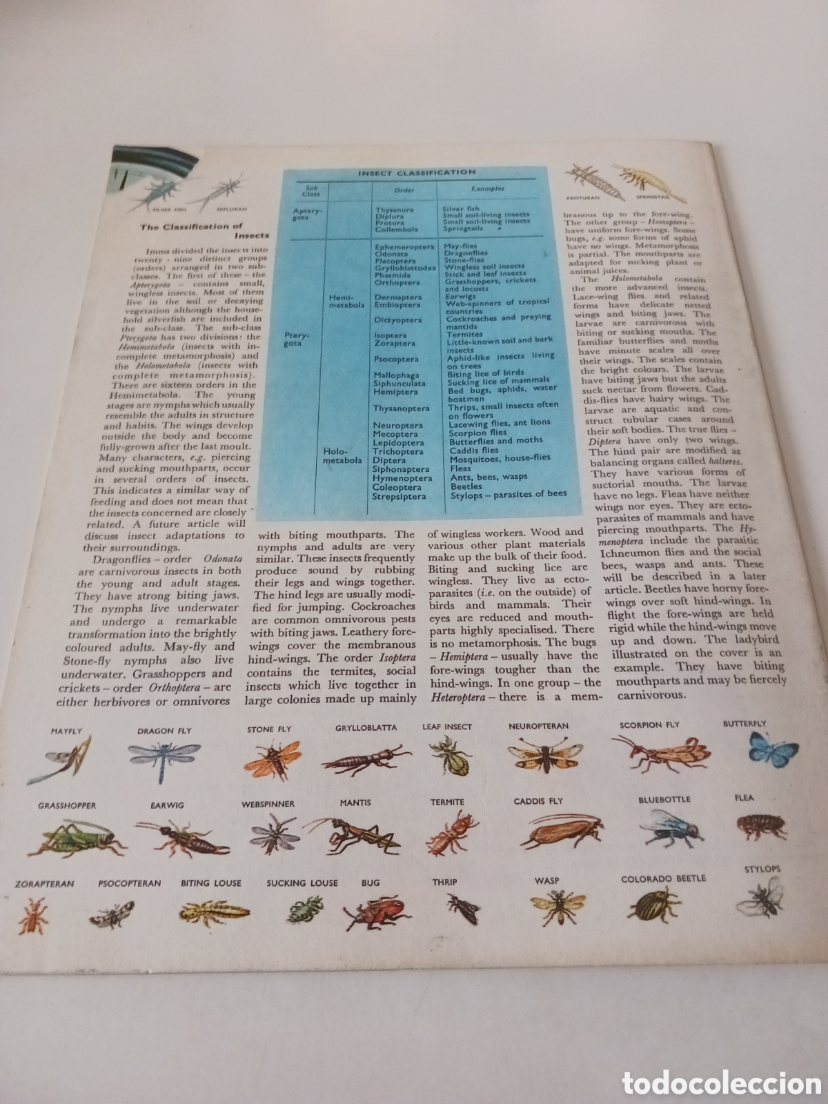 Libros de segunda mano: Understanding science, n&uacute;mero 33 ingl&eacute;s 1963 - Foto 5