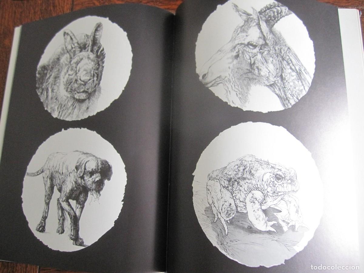 Libros de segunda mano: WITCHES by Erica Jong - Foto 10