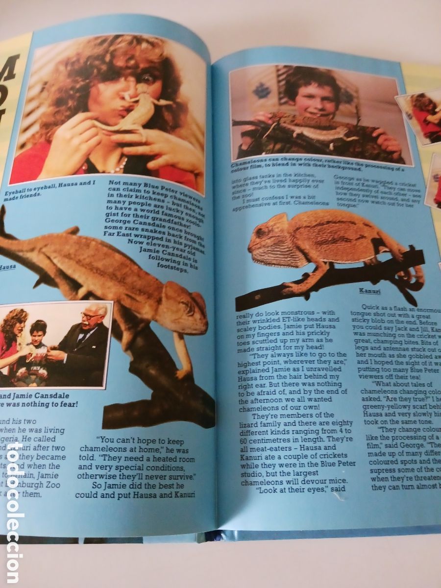 Libros de segunda mano: Blue Peter, book twenty, BBC 1983 ingl&eacute;s - Foto 3