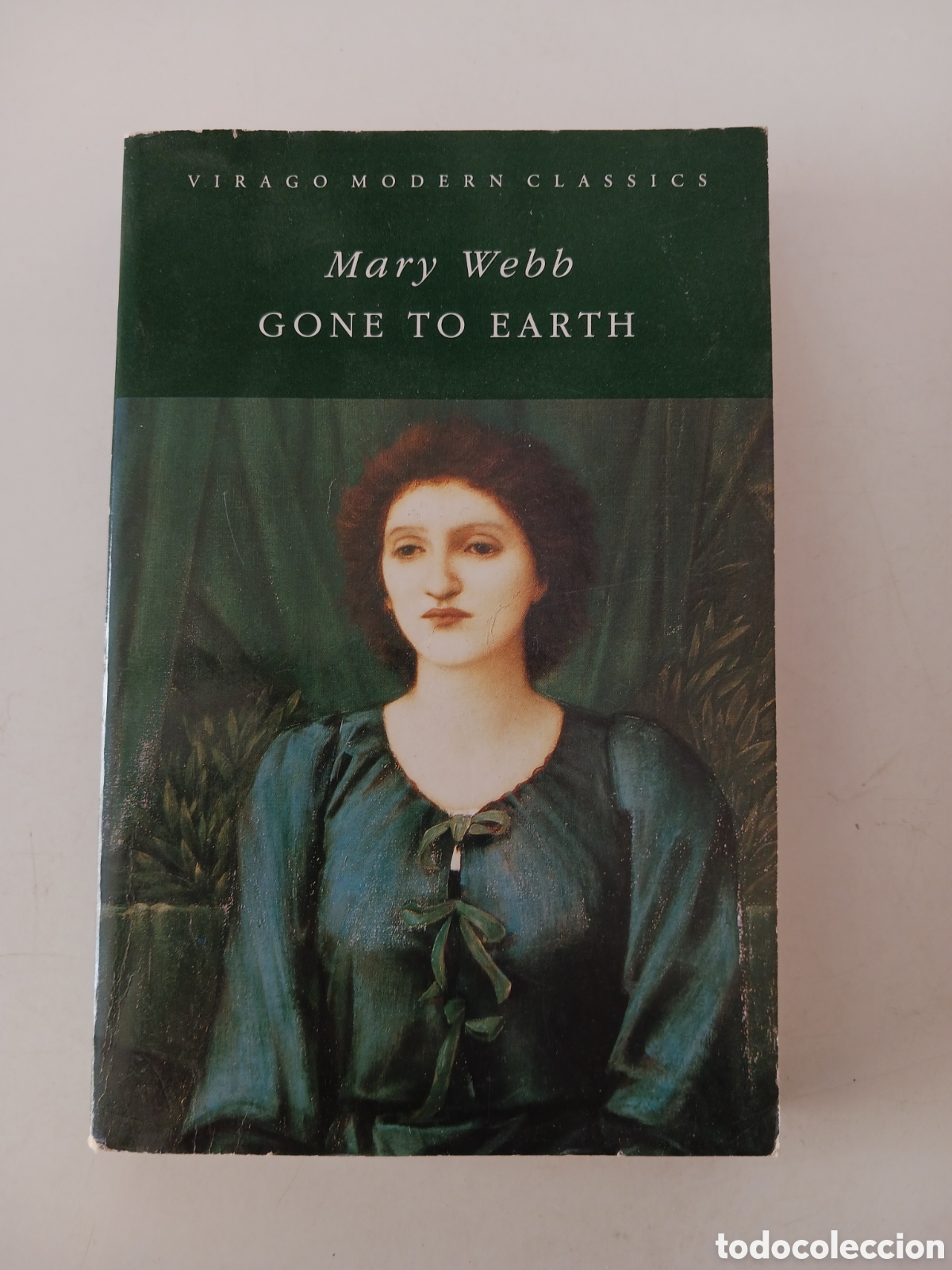 Libros de segunda mano: Gone to Earth, Mary Webb, 1994 ingl&eacute;s. Ref E1 - Foto 1