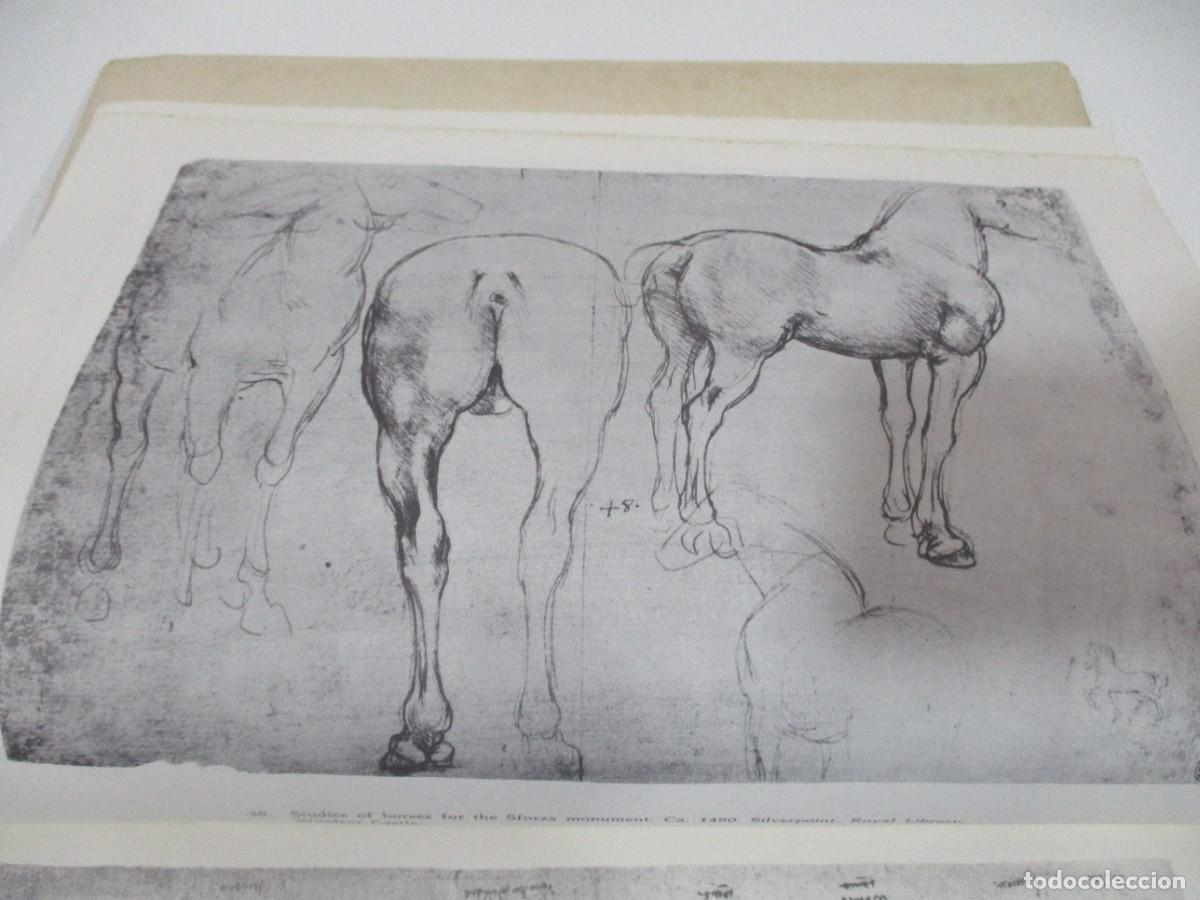 Libros de segunda mano: LEONARDO DRAWINGS (ingl&eacute;s) W16757 - Foto 4