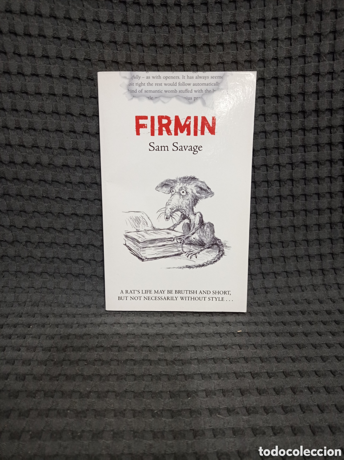 Libros de segunda mano: Firmin (Sam Savage) en ingles - Foto 1