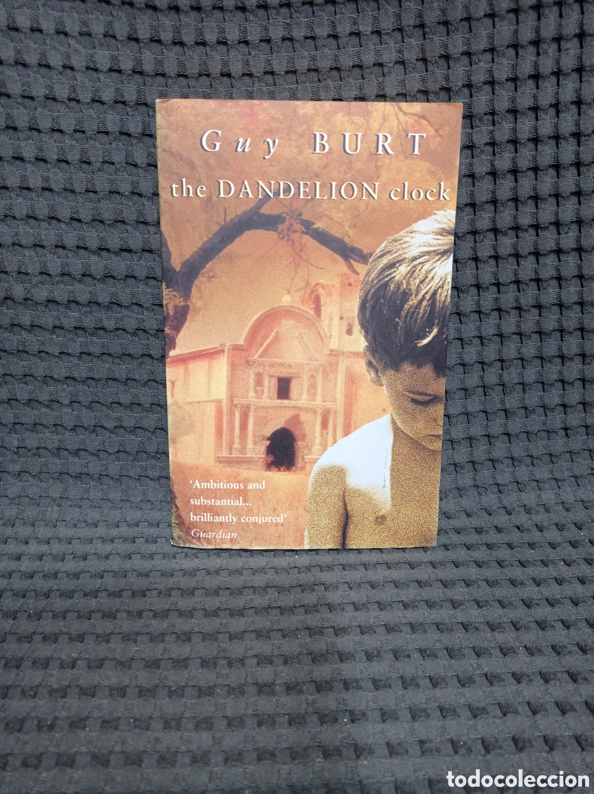 Libros de segunda mano: The Dandelion clock (Guy Burt) - Foto 1