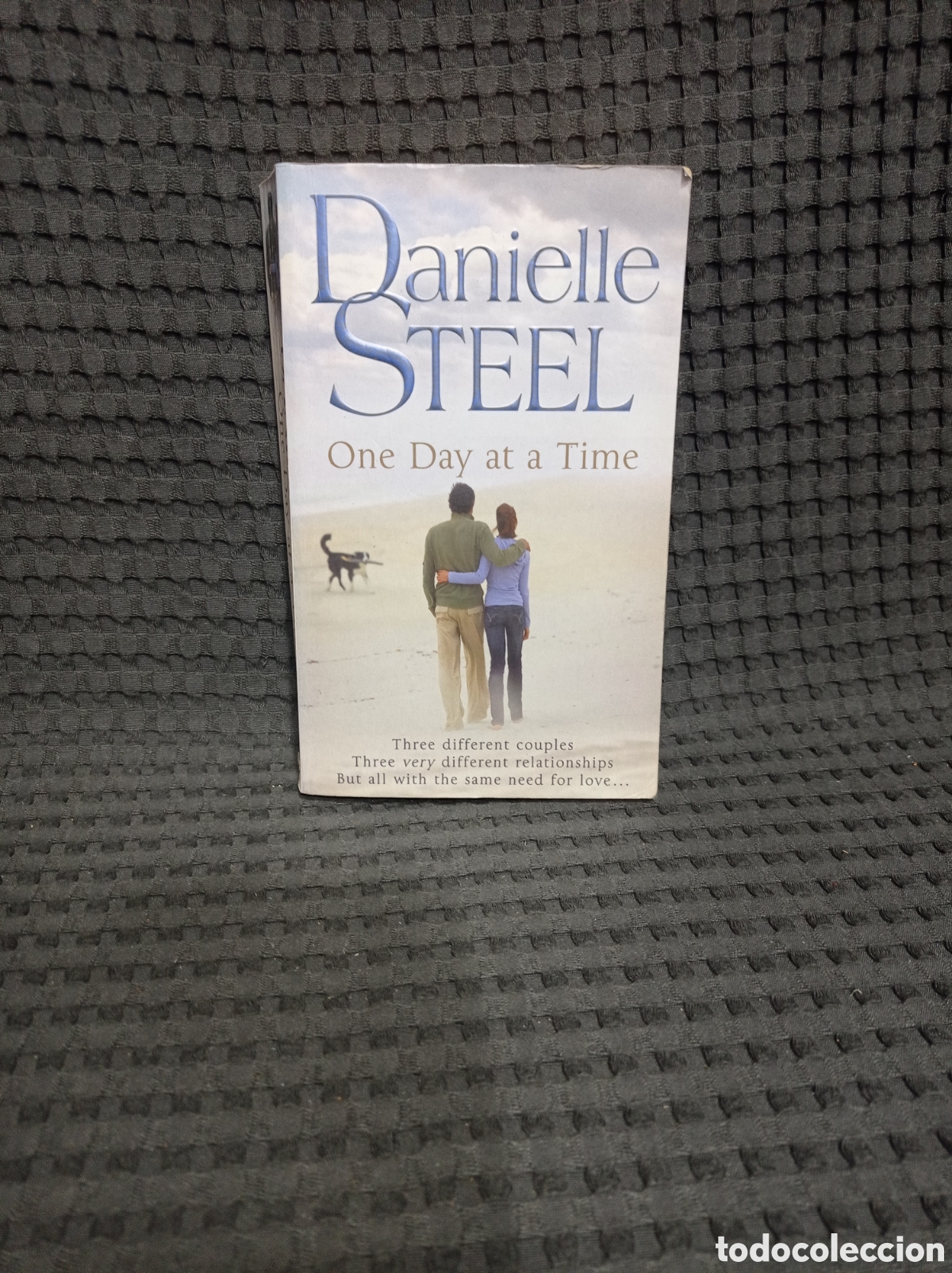 Libros de segunda mano: One Day at a Time (Danielle Steel) - Foto 1