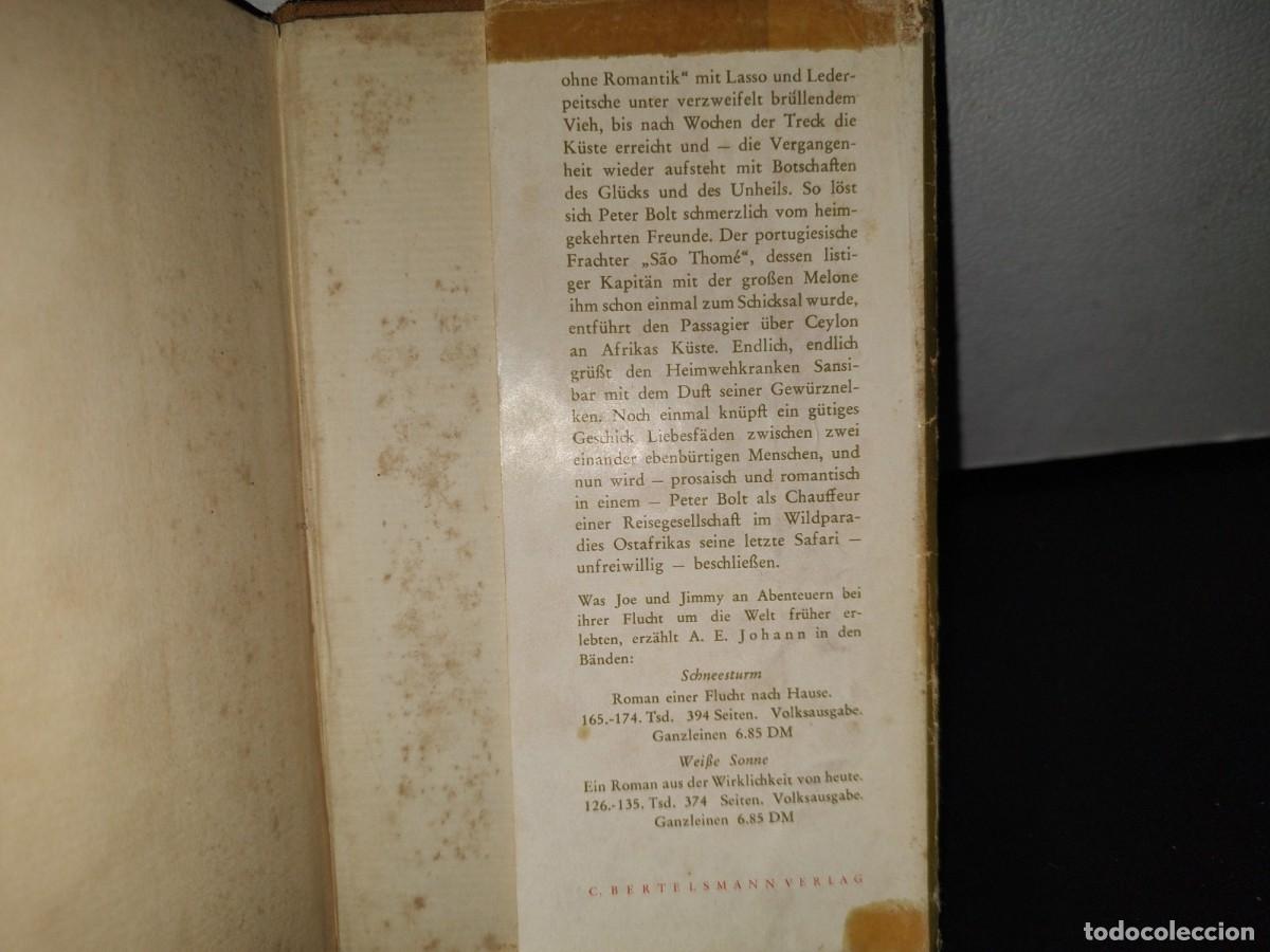 Libros de segunda mano: 63- ALEM&Aacute;N- STEPPEN WIND - A. E. JOHANN - 1954 - Foto 4
