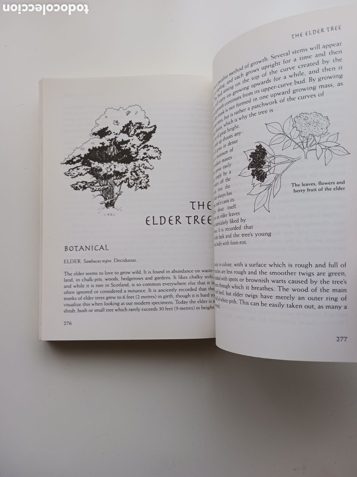 Libros de segunda mano: Tree wisdom the definitive guidebook Jacqueline Memory Paterson 1996 ingl&eacute;s - Foto 6