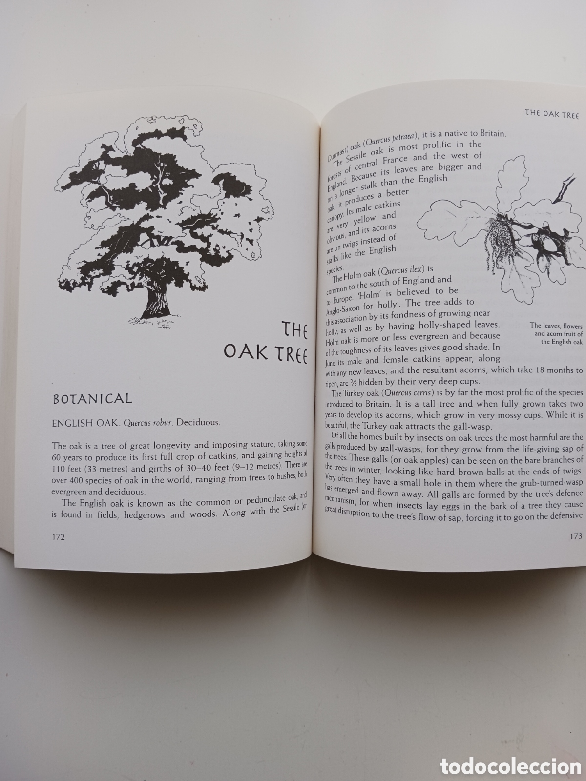 Libros de segunda mano: Tree wisdom the definitive guidebook Jacqueline Memory Paterson 1996 ingl&eacute;s - Foto 5