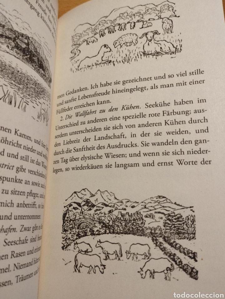 Libros de segunda mano: SELTSAMES ENGLAND (KAREL CAPEK) - Foto 9