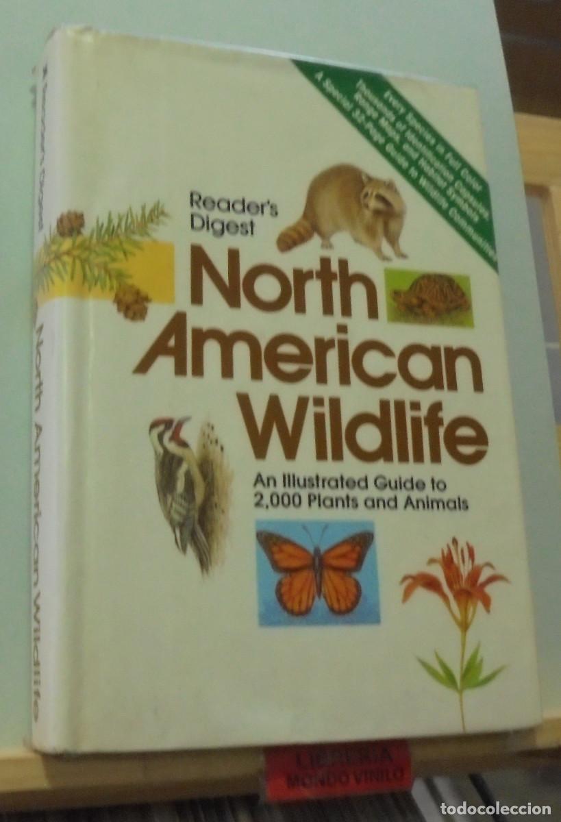 north american wildlife. reader's digest. texto - Buy Other used books in  different languages on todocoleccion
