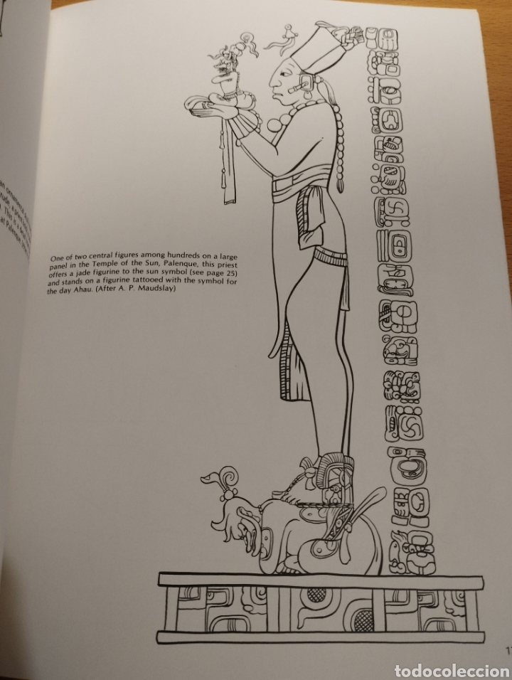 Libros de segunda mano: MAYA DESIGNS (WILSON G. TURNER) - Foto 7