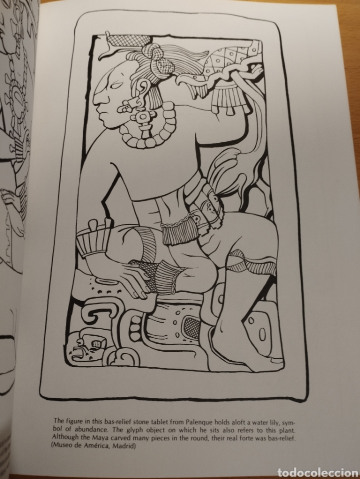 Libros de segunda mano: MAYA DESIGNS (WILSON G. TURNER) - Foto 9