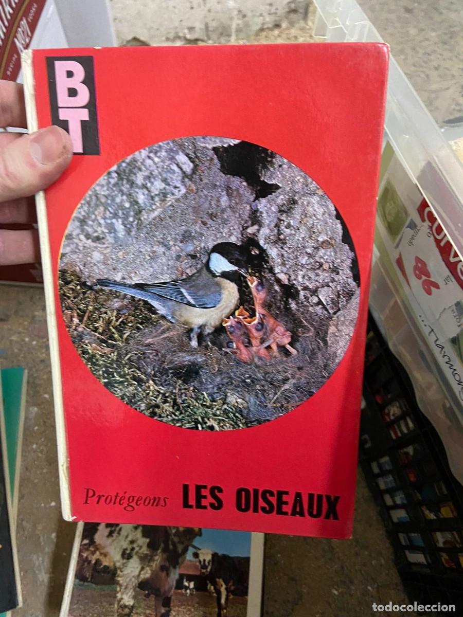 Libros de segunda mano: Caja86 Bt, les oiseaux - Foto 1