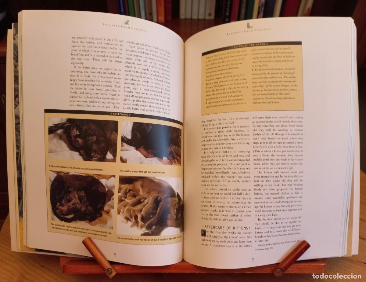 Libros de segunda mano: PADDY CUTTS: &rdquo;The complete cat book&rdquo; - Foto 2