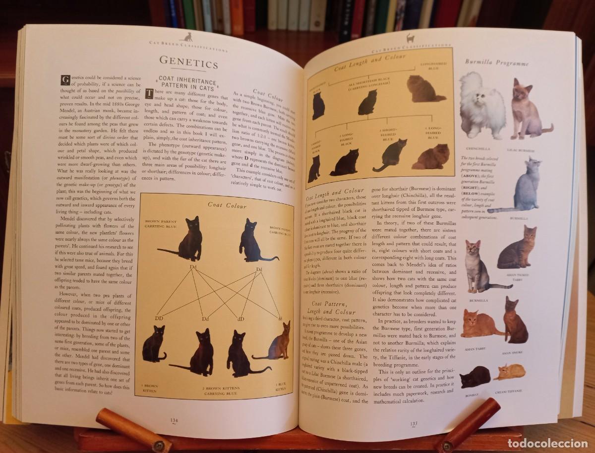 Libros de segunda mano: PADDY CUTTS: &rdquo;The complete cat book&rdquo; - Foto 3