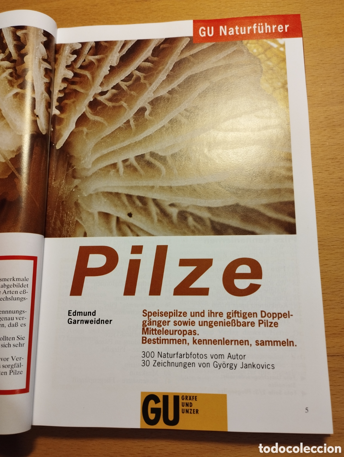 Libros de segunda mano: PILZE (EDMUND GARNWEIDNER) - Foto 2