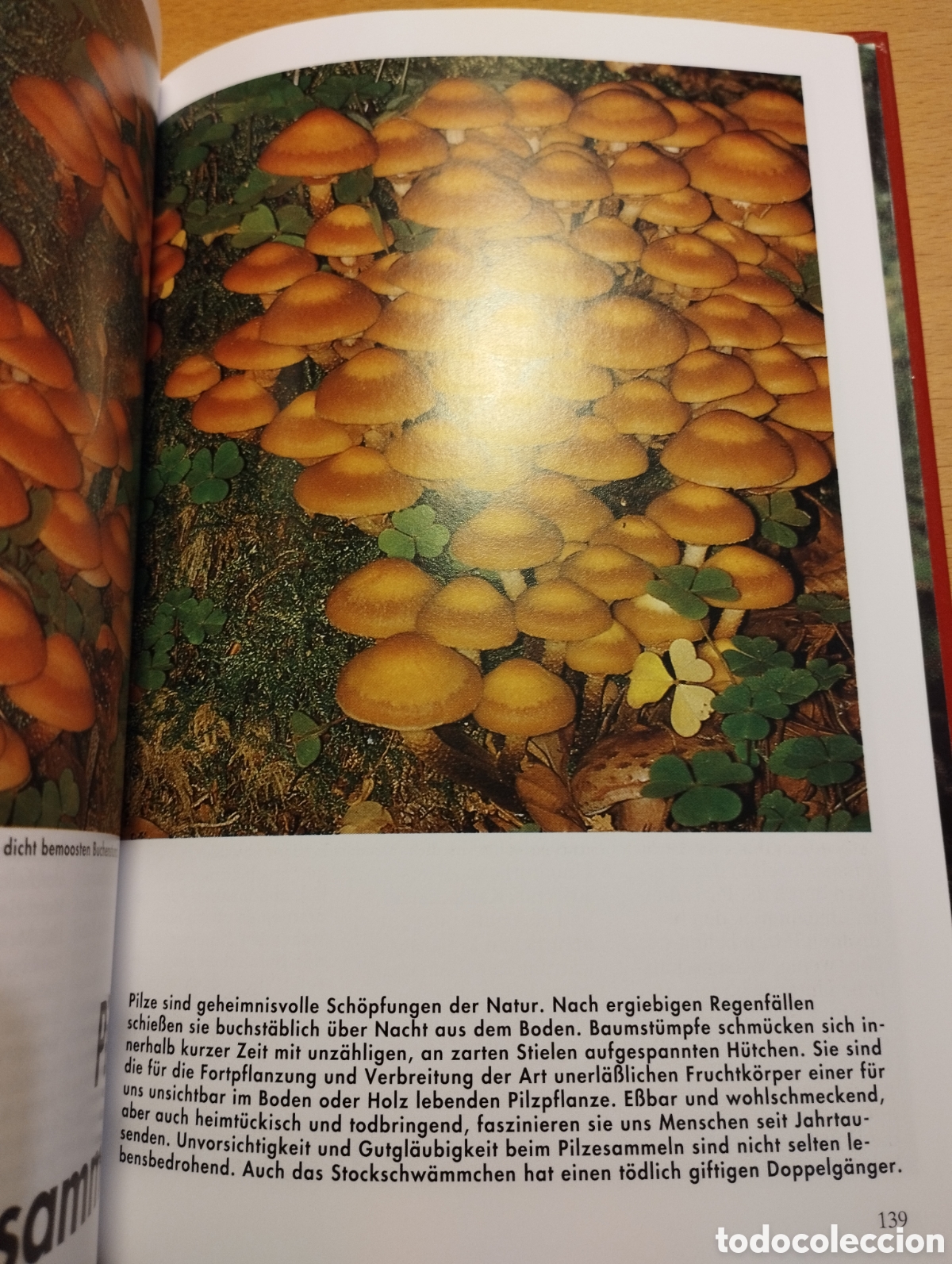 Libros de segunda mano: PILZE (EDMUND GARNWEIDNER) - Foto 6