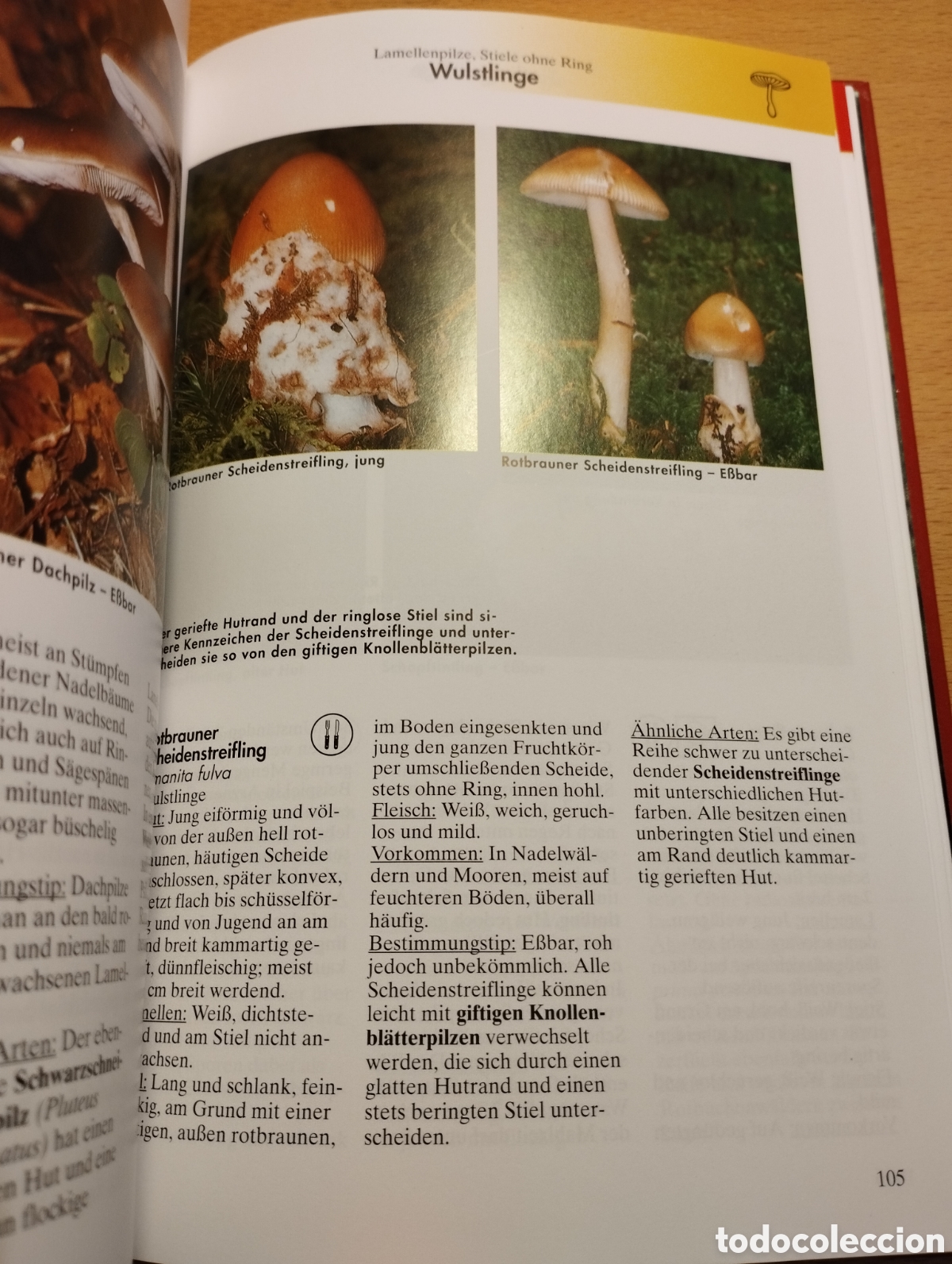 Libros de segunda mano: PILZE (EDMUND GARNWEIDNER) - Foto 9
