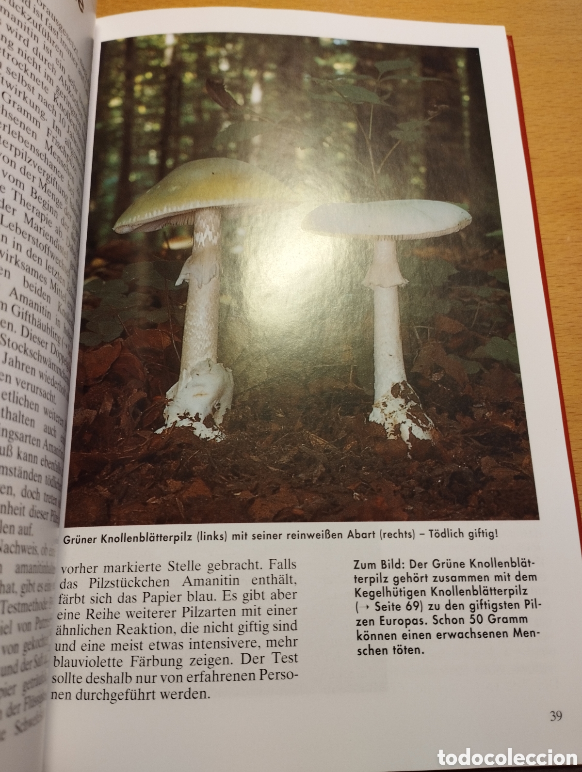 Libros de segunda mano: PILZE (EDMUND GARNWEIDNER) - Foto 15
