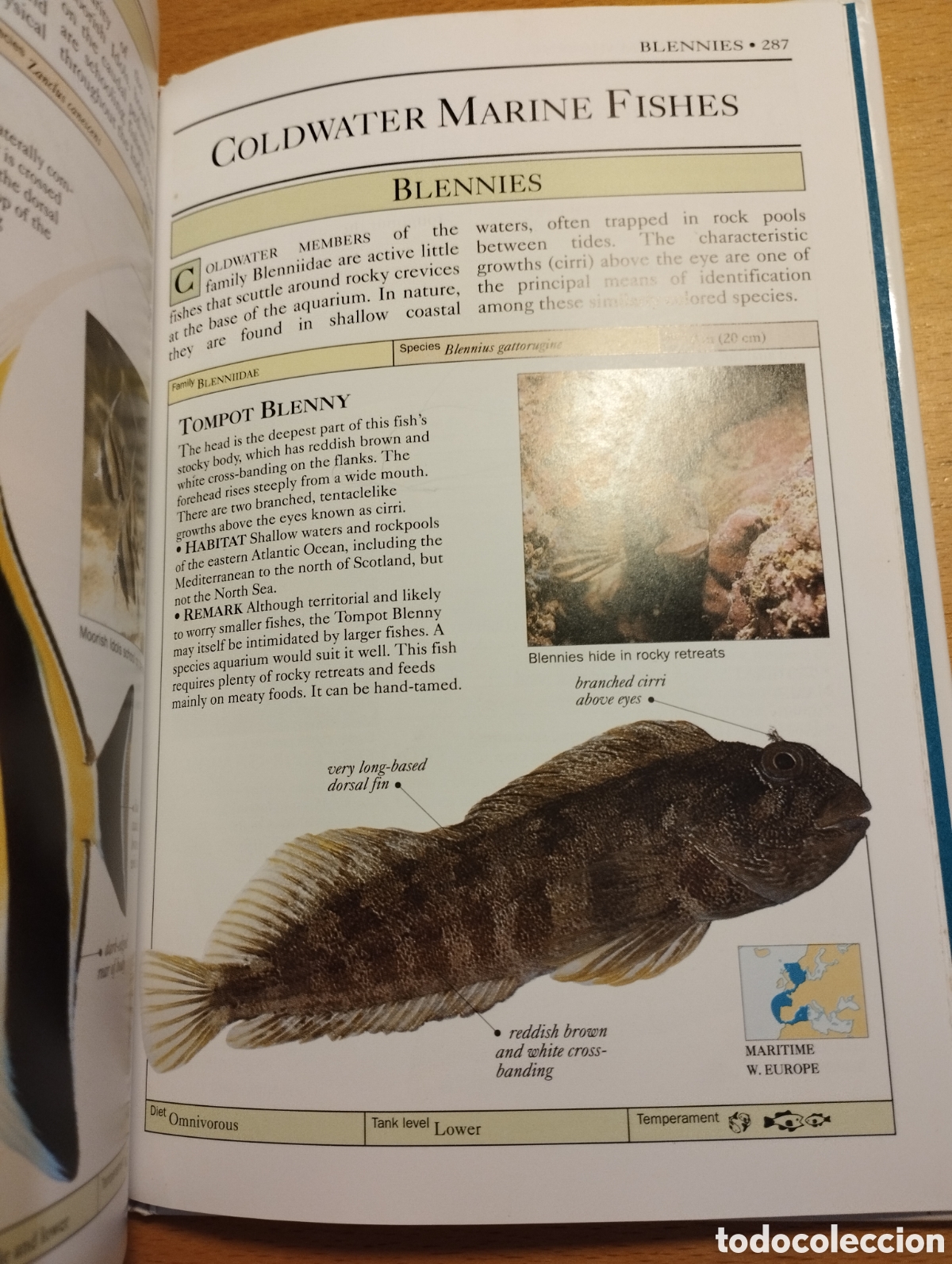 Libros de segunda mano: AQUARIUM FISH (DICK MILLS) - Foto 4