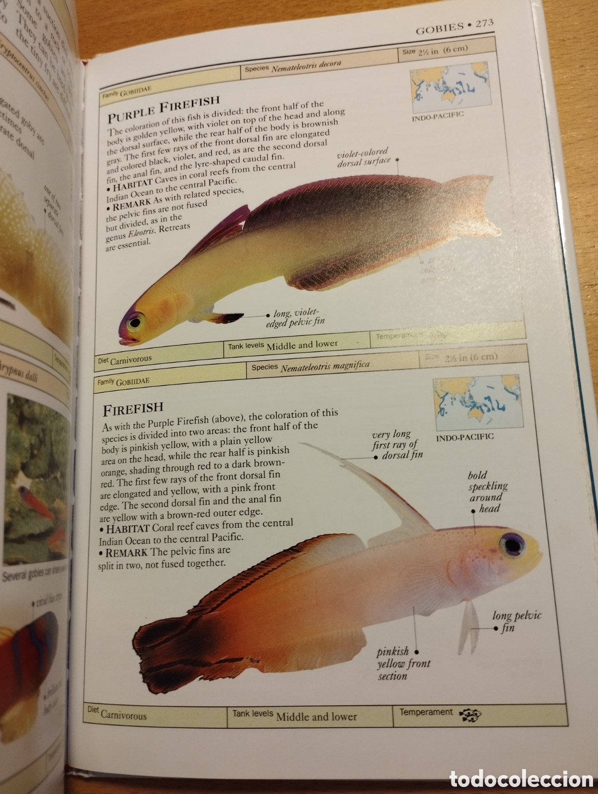 Libros de segunda mano: AQUARIUM FISH (DICK MILLS) - Foto 5