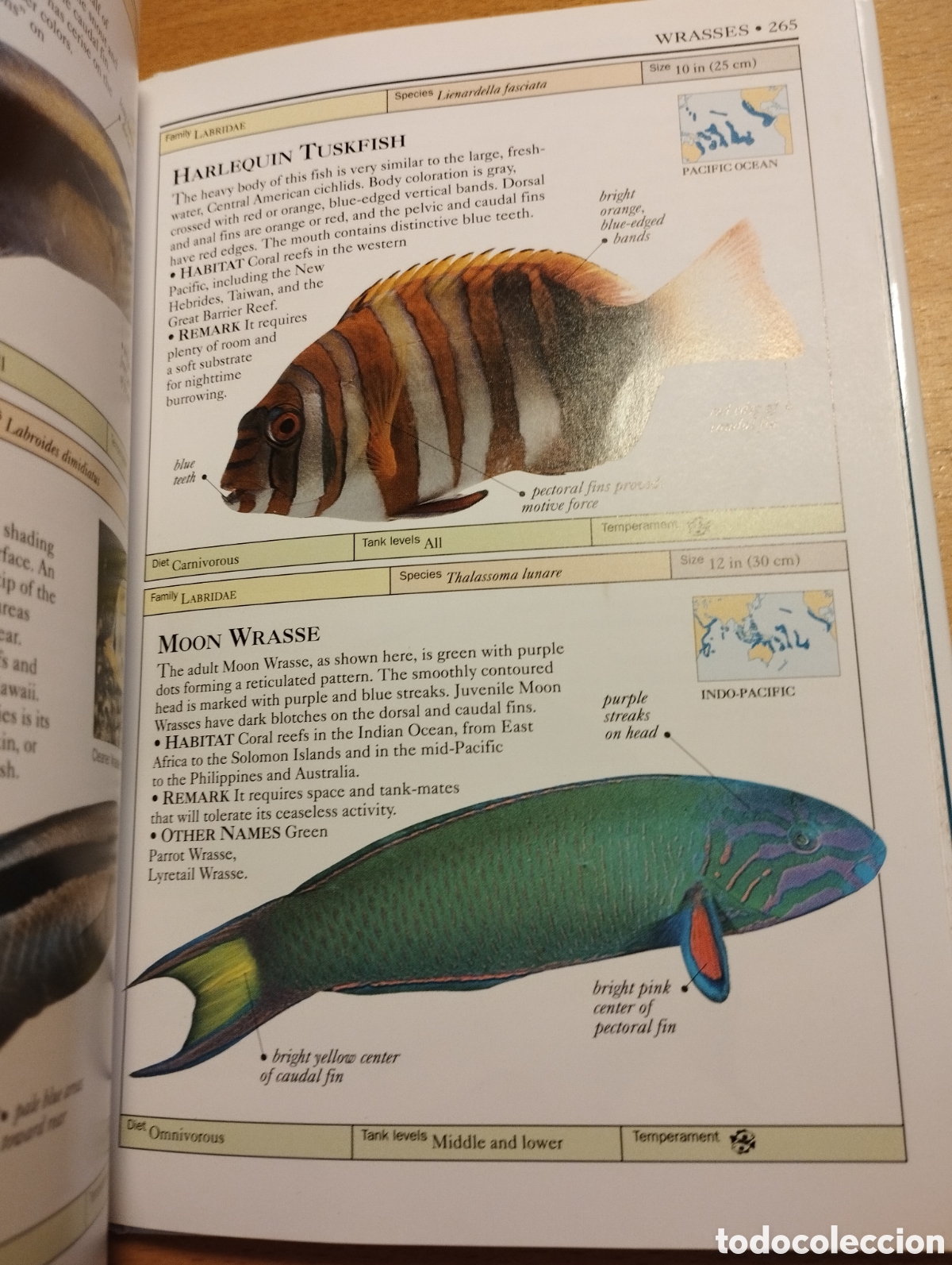 Libros de segunda mano: AQUARIUM FISH (DICK MILLS) - Foto 6