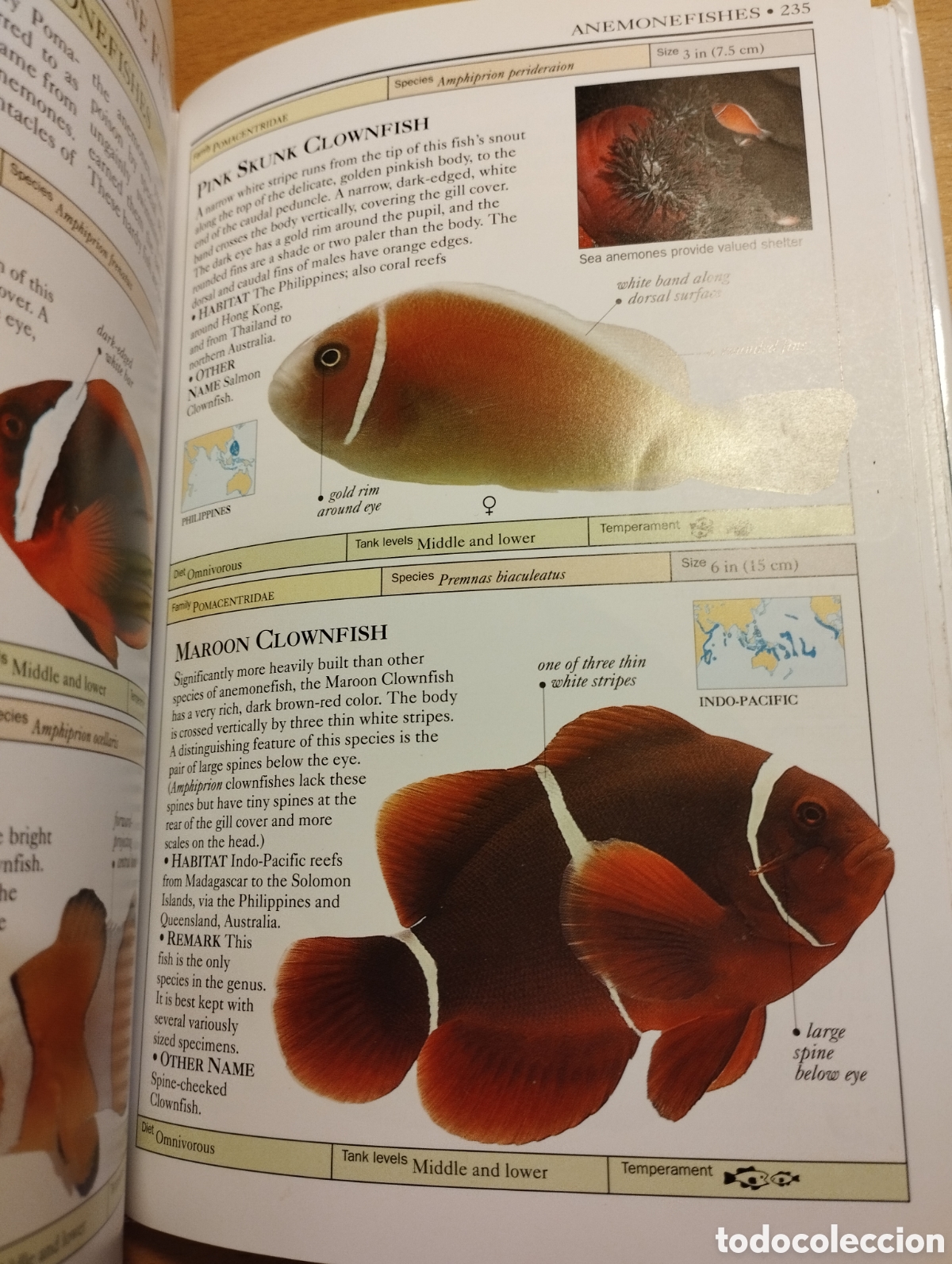 Libros de segunda mano: AQUARIUM FISH (DICK MILLS) - Foto 7