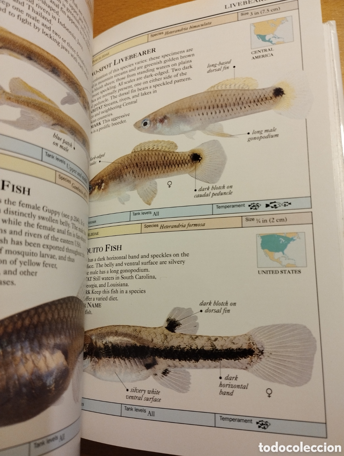 Libros de segunda mano: AQUARIUM FISH (DICK MILLS) - Foto 8