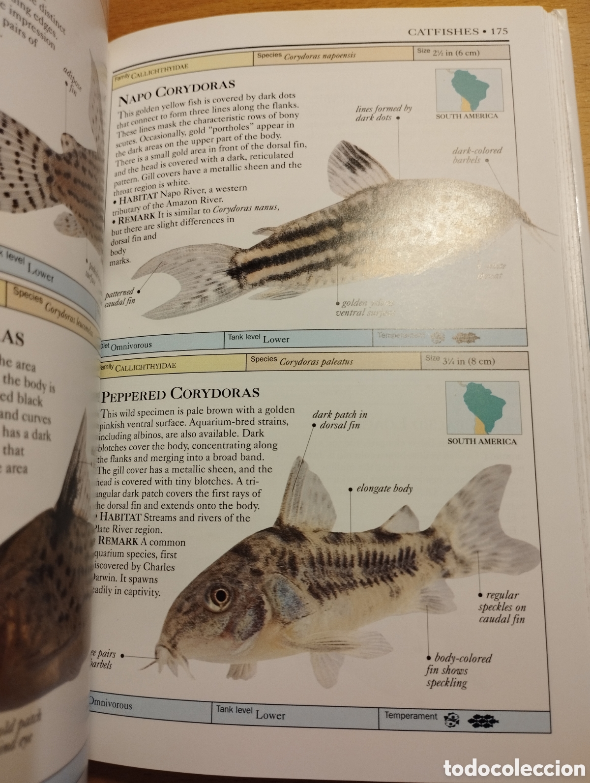 Libros de segunda mano: AQUARIUM FISH (DICK MILLS) - Foto 9