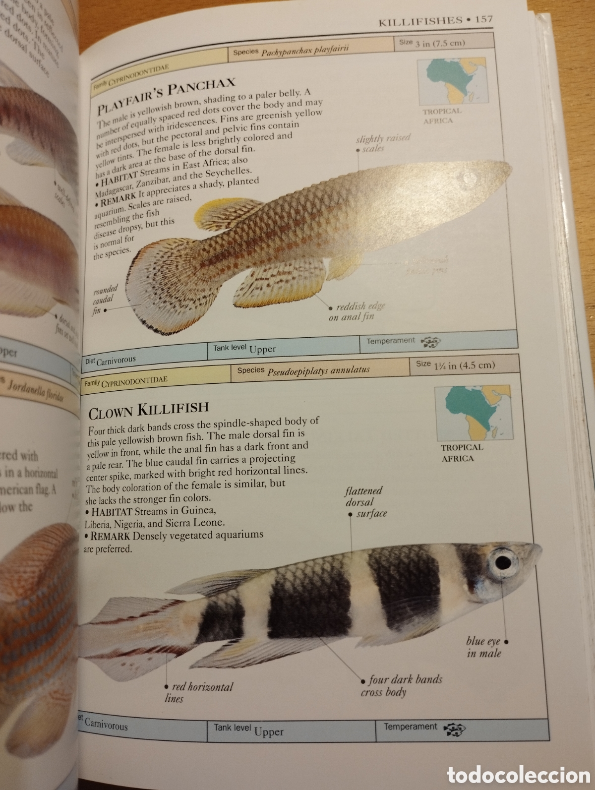 Libros de segunda mano: AQUARIUM FISH (DICK MILLS) - Foto 10