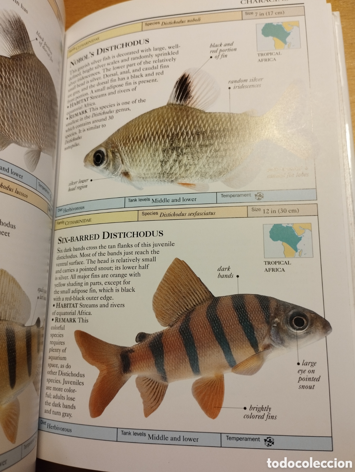Libros de segunda mano: AQUARIUM FISH (DICK MILLS) - Foto 12