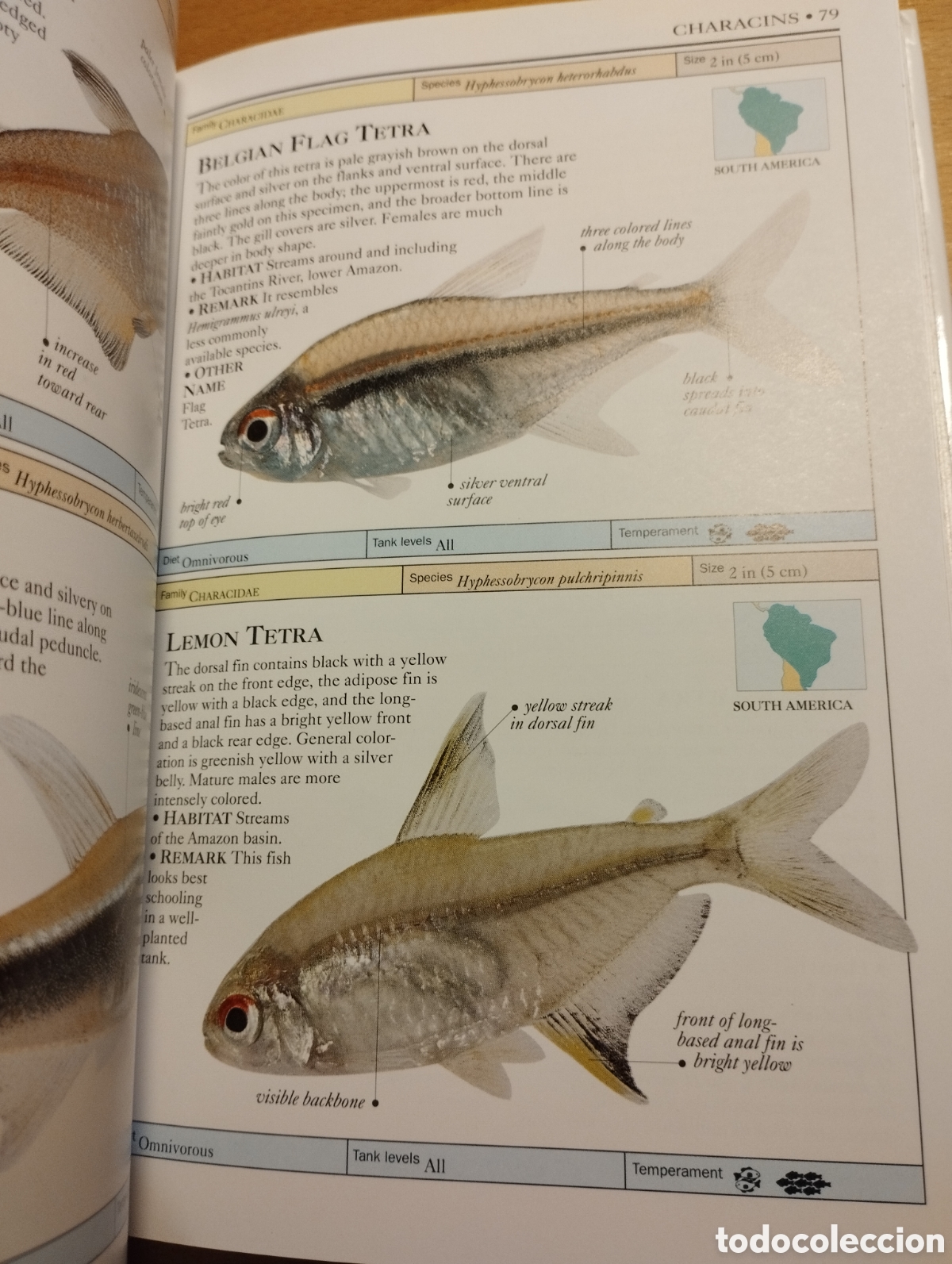 Libros de segunda mano: AQUARIUM FISH (DICK MILLS) - Foto 13