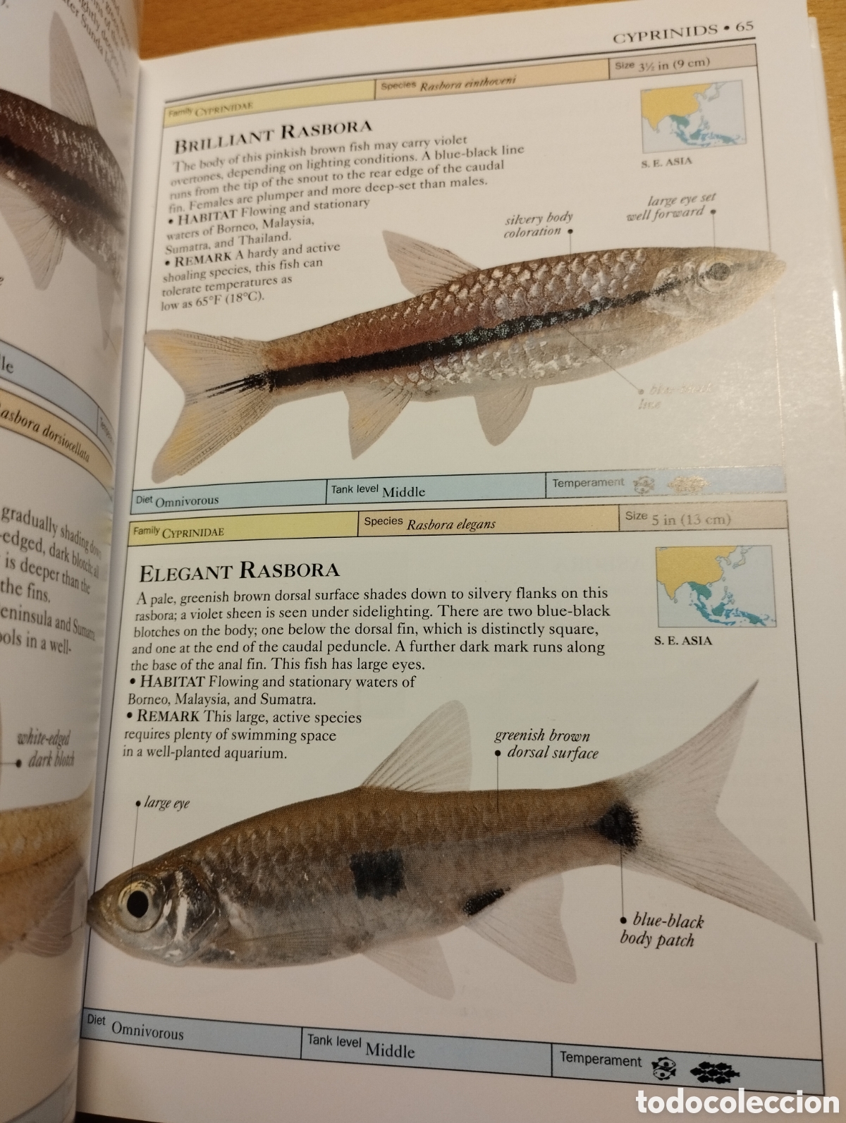 Libros de segunda mano: AQUARIUM FISH (DICK MILLS) - Foto 14