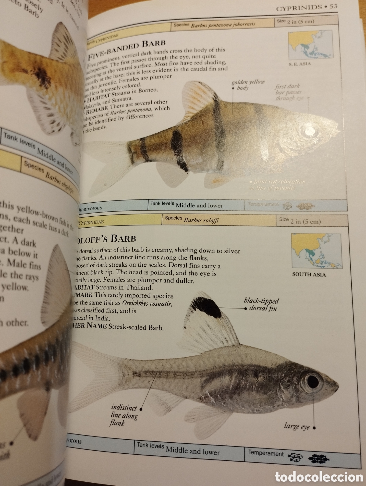 Libros de segunda mano: AQUARIUM FISH (DICK MILLS) - Foto 15
