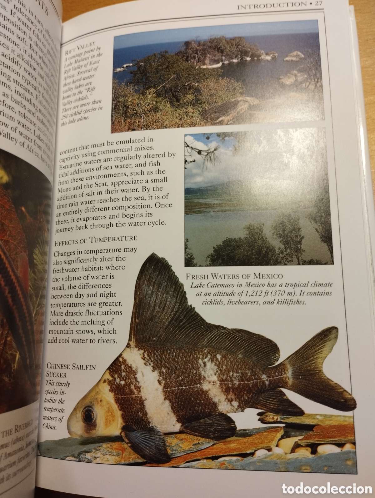 Libros de segunda mano: AQUARIUM FISH (DICK MILLS) - Foto 16
