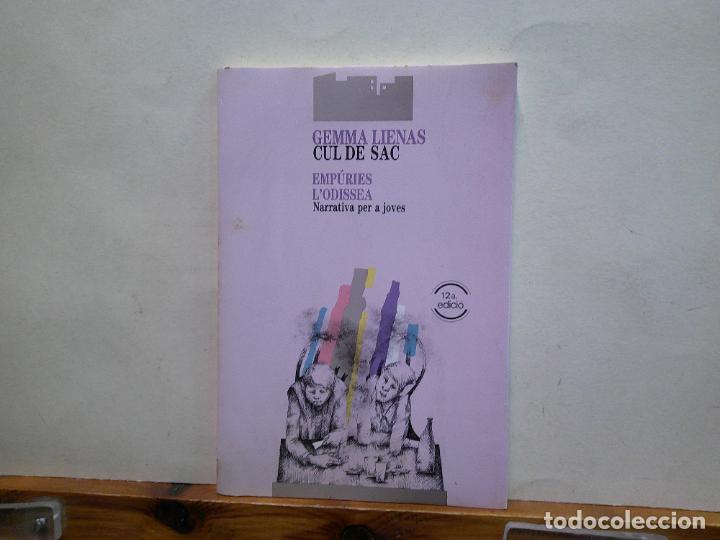Libros de segunda mano: CUL DE SAC. GEMMA LIENAS. EDITORIAL EMP&Uacute;RIES. - Foto 1