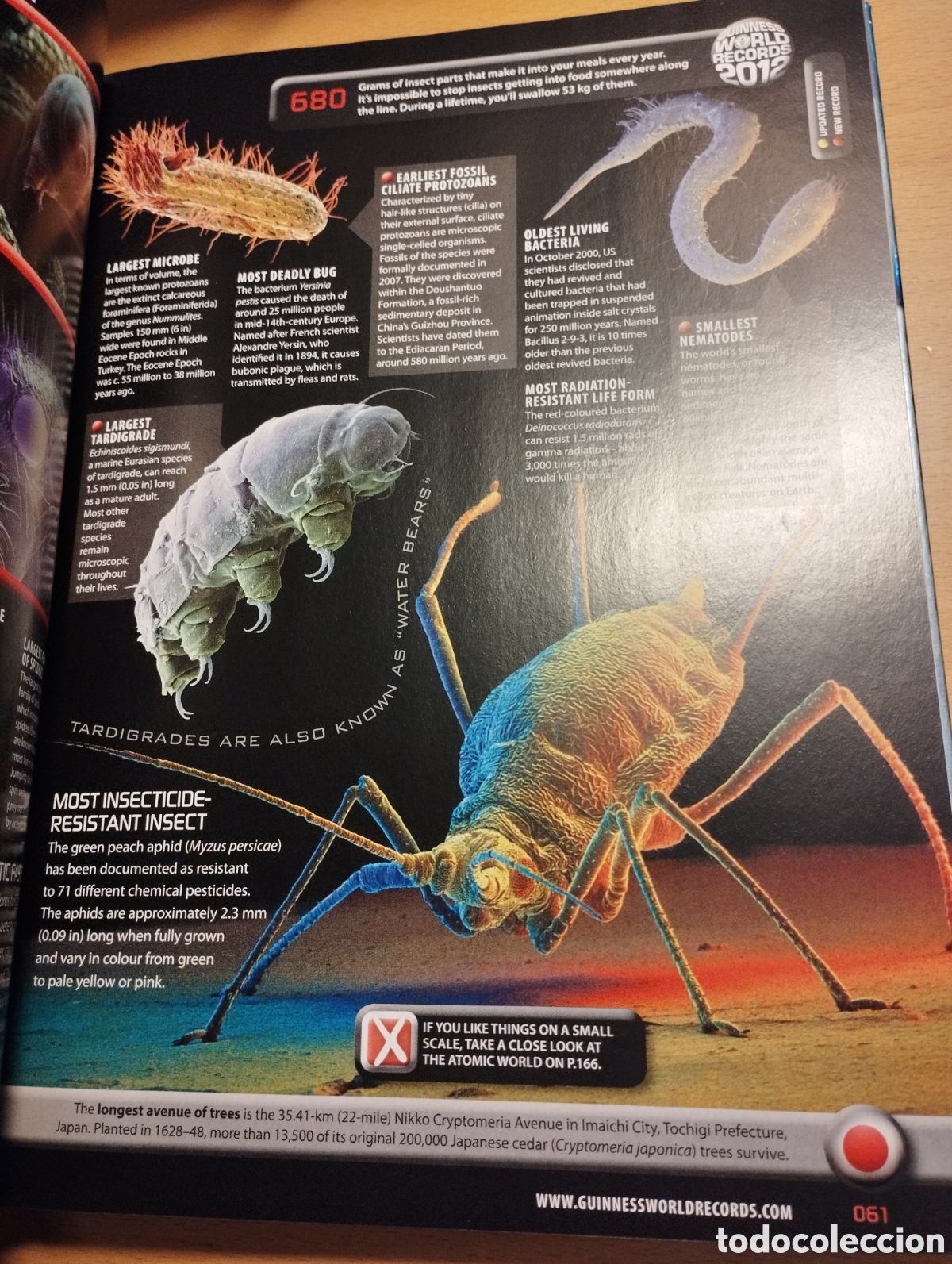 Libros de segunda mano: GUINNESS WORLD RECORDS 2012 - Foto 13