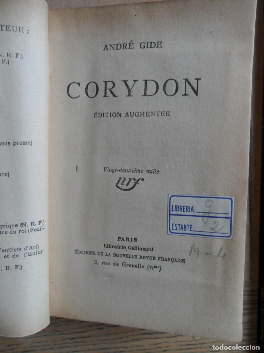 Libros de segunda mano: Corydon (en frac&eacute;s) Andr&eacute; Guide. Gallimard. Par&iacute;s, 1929 - Foto 2