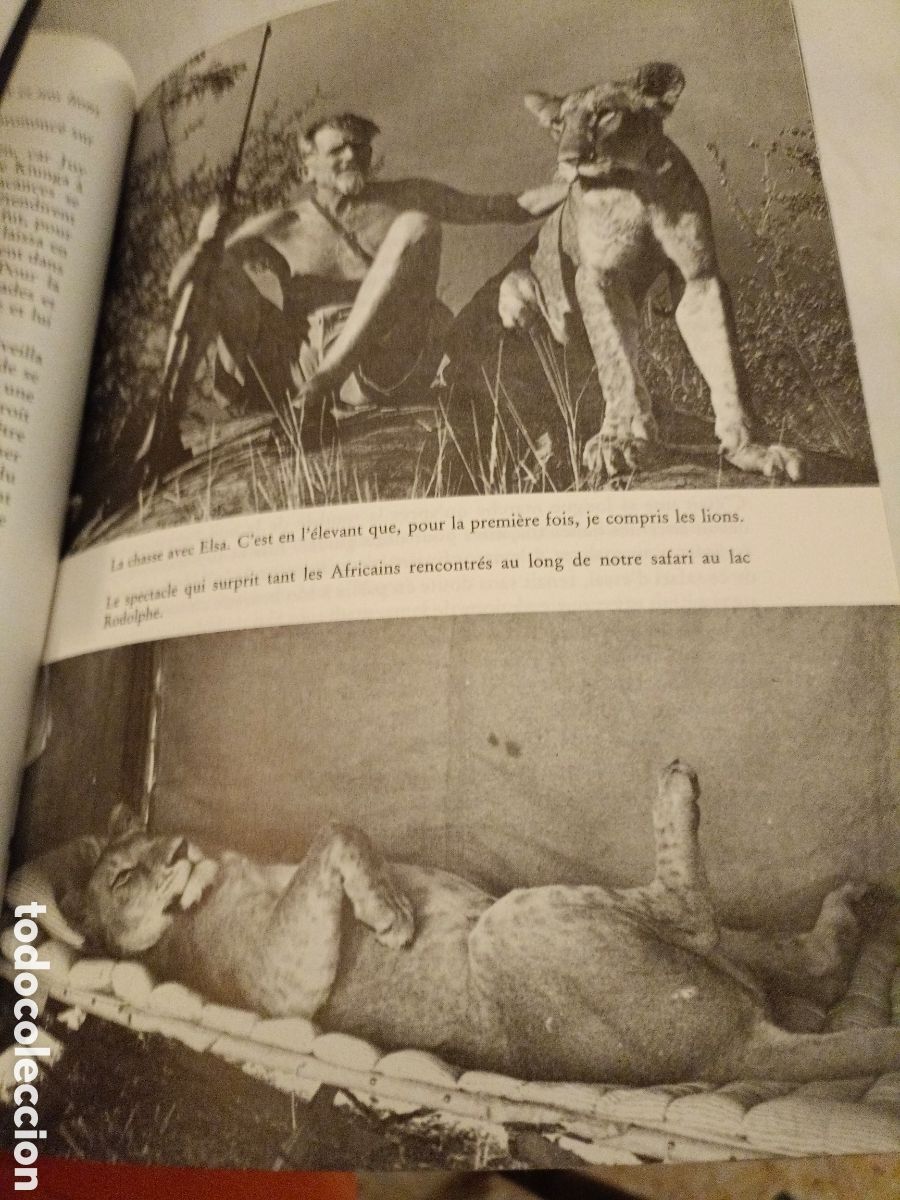 Libros de segunda mano: Joy et nos lions/ libro ilustrado - Foto 4
