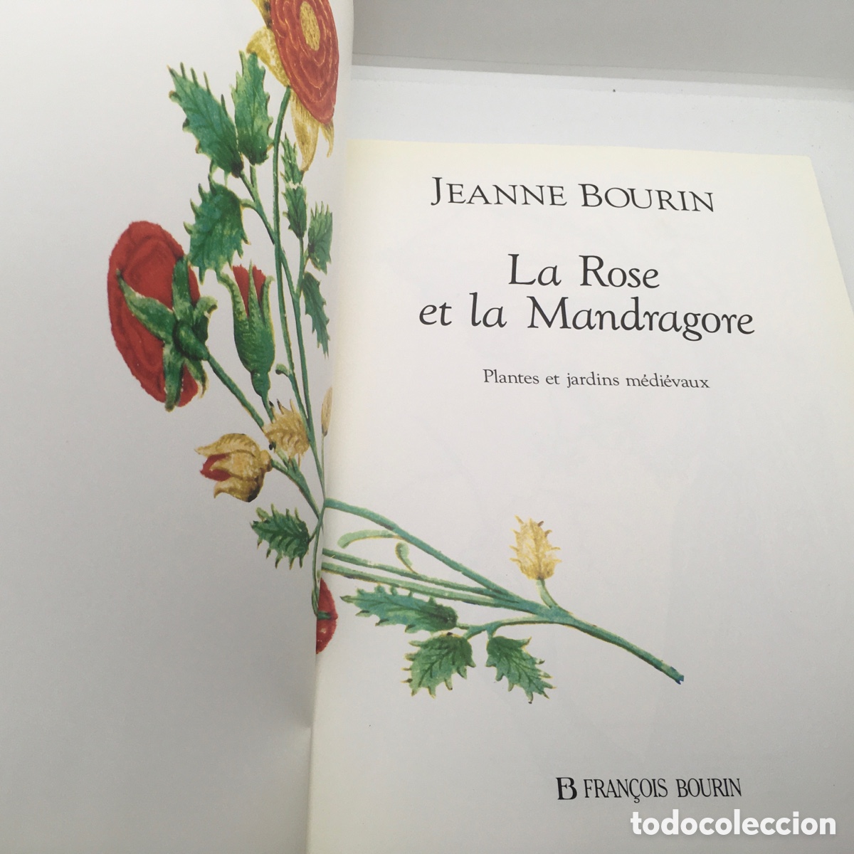 Libros de segunda mano: Libro La rosa y la Mandr&aacute;gora en Franc&eacute;s - Foto 3