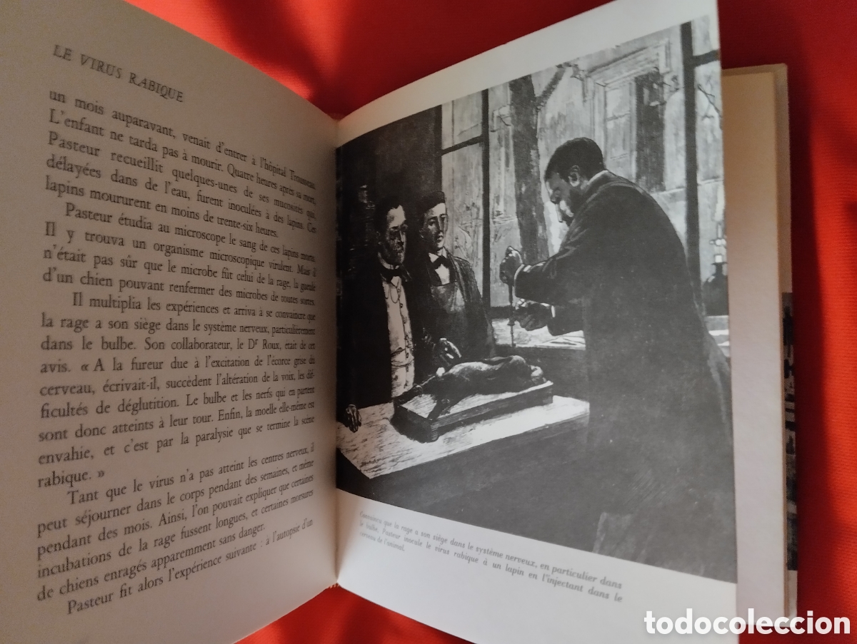 Libros de segunda mano: PASTEUR ET SES DECOUVERTES, FERNAND NATHAN 1966 - Foto 7