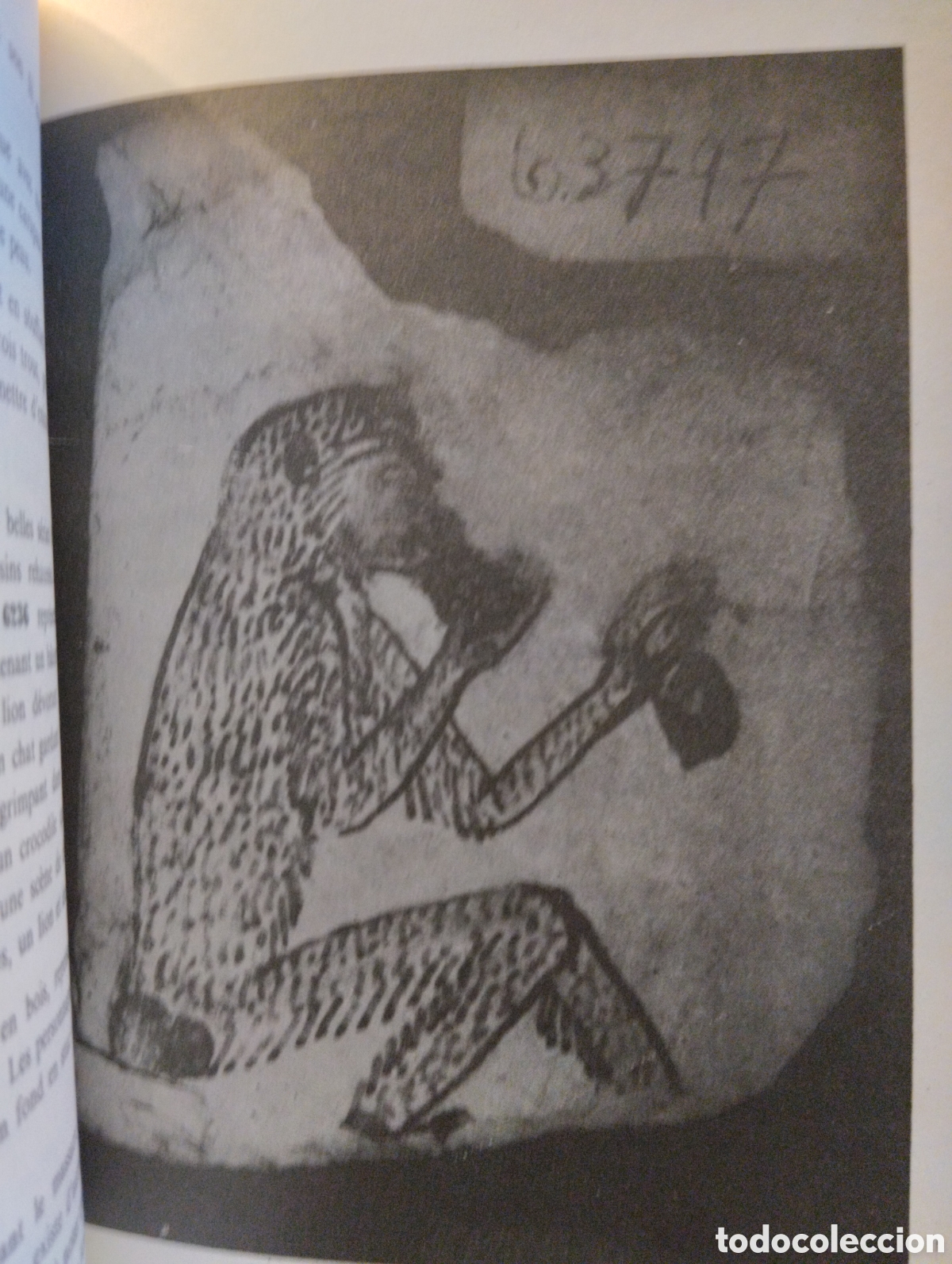 Libros de segunda mano: Guide du Mus&eacute;e Egyptien du Caire - Foto 7