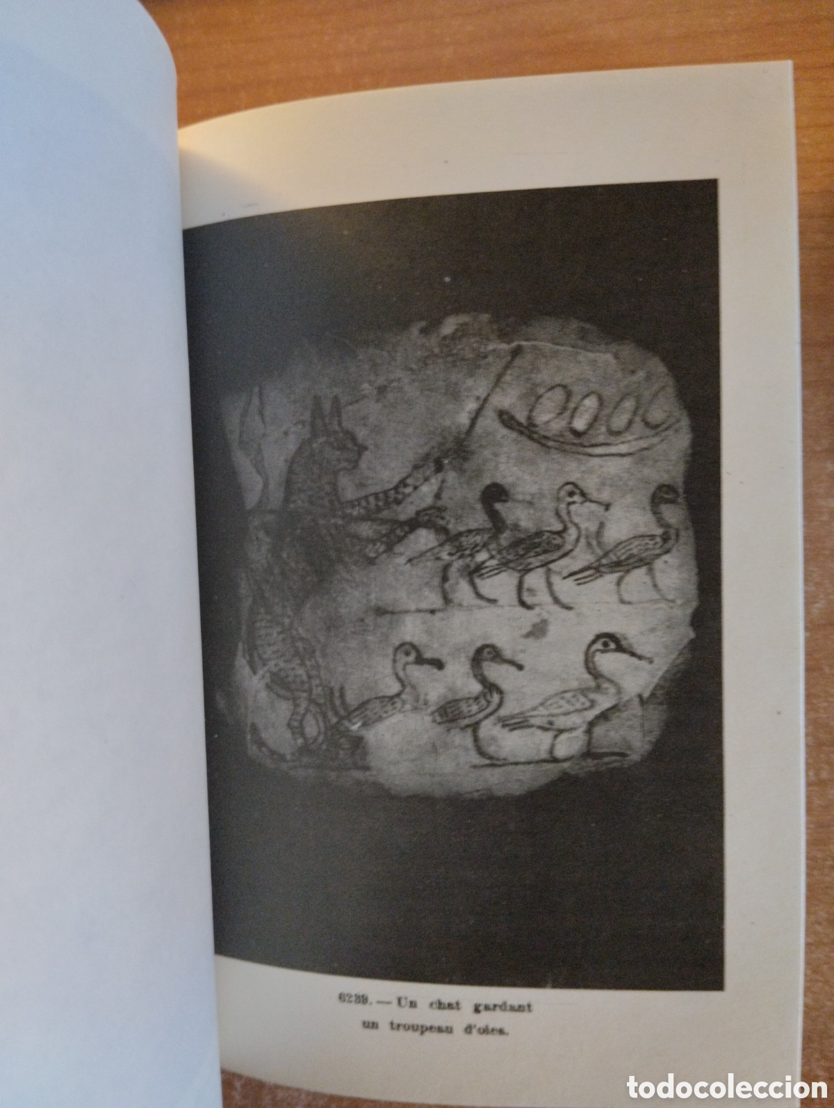 Libros de segunda mano: Guide du Mus&eacute;e Egyptien du Caire - Foto 8